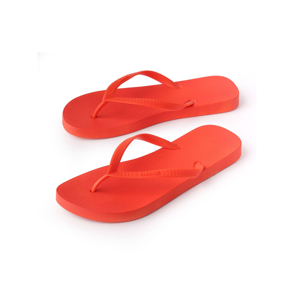 parrot - Slippers For Women